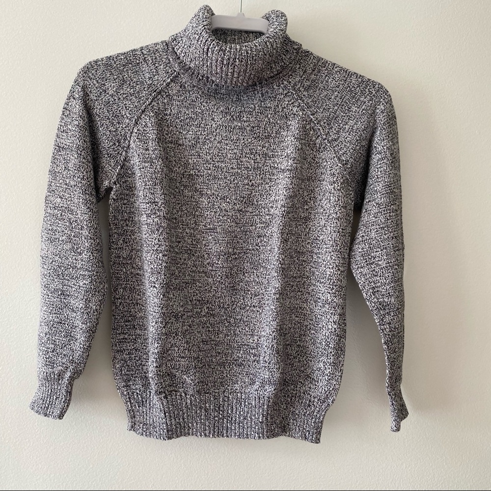 Karen Scott Long Sleeve Turtleneck Sweater
